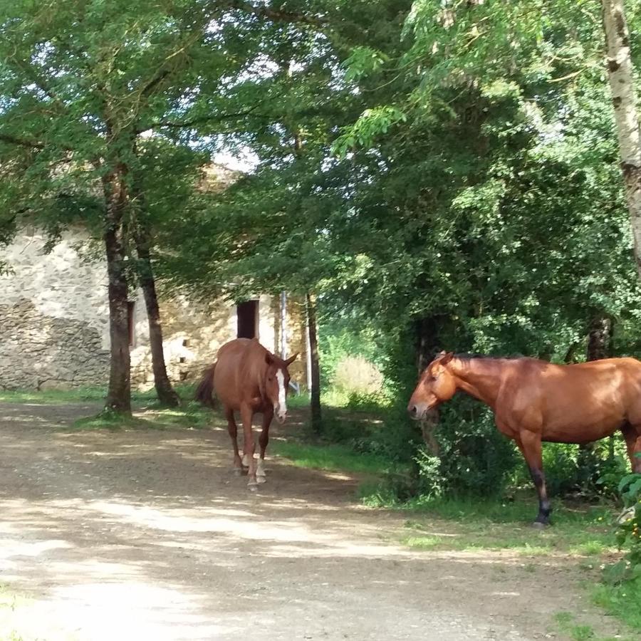 Le Prosper Bed & Breakfast Marciac Luaran gambar